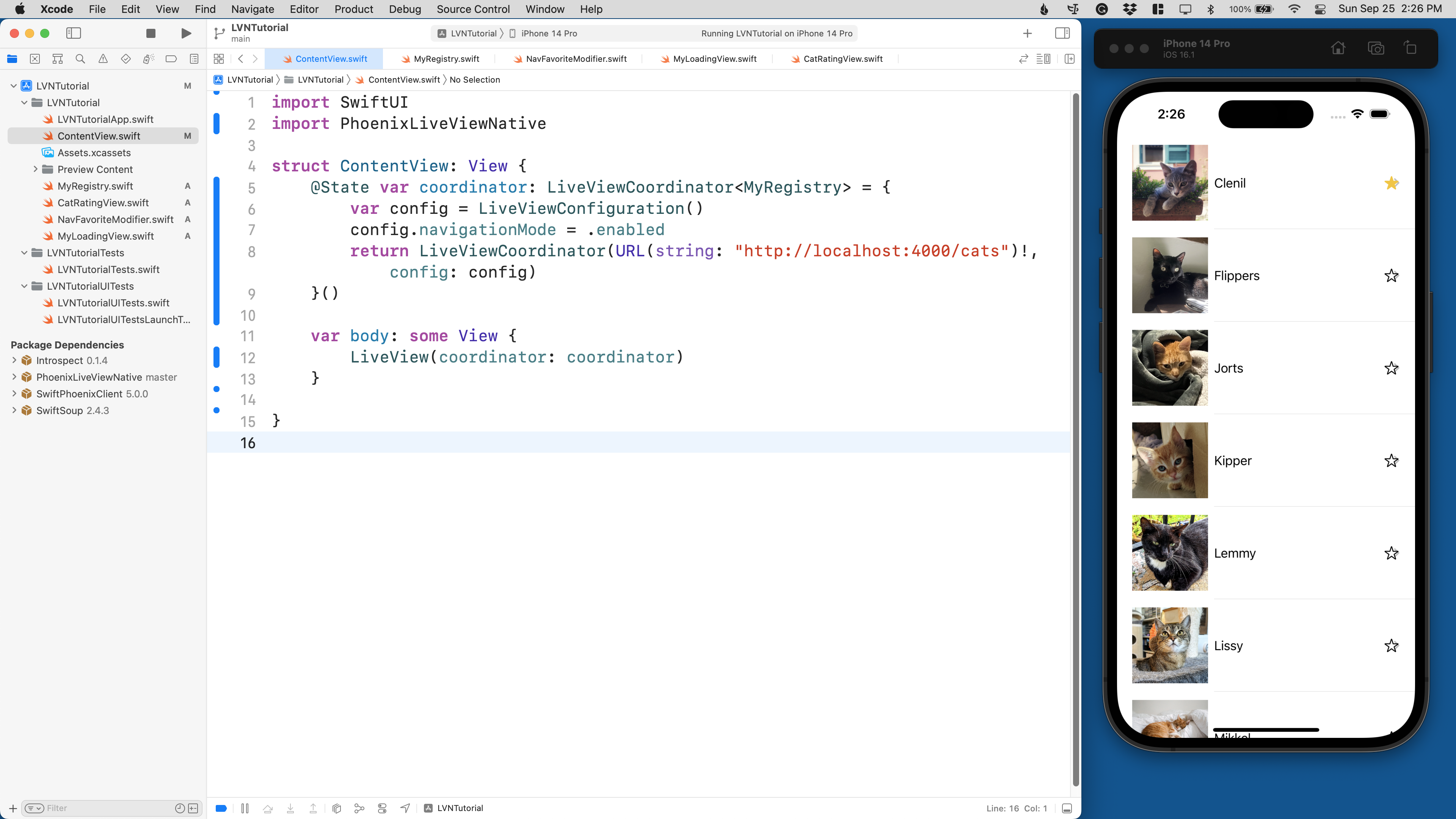 The Cats Demo in Xcode