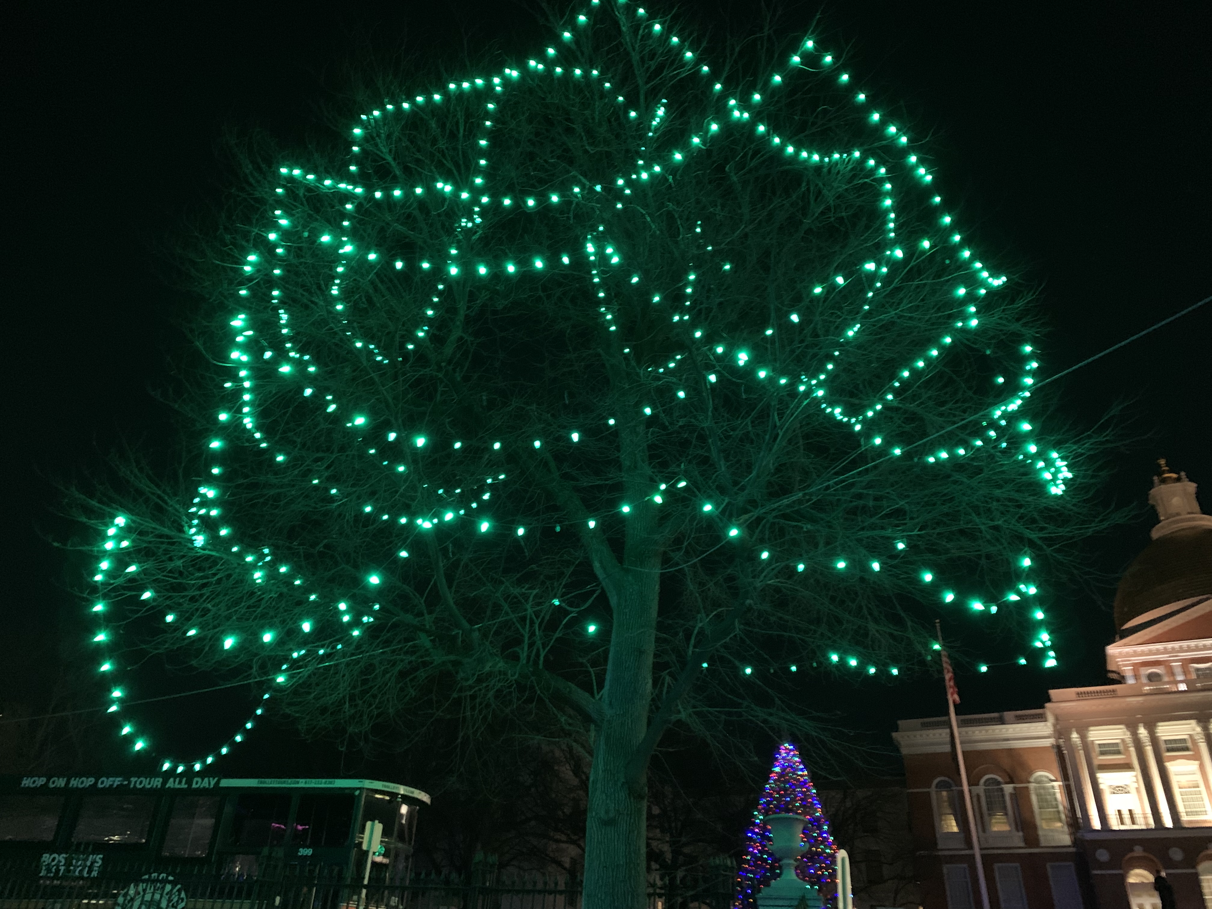 tree with green lights